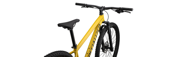 Specialized Rockhopper Expert 29