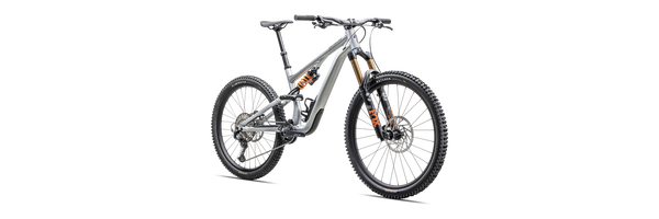 Specialized Stumpjumper 15 Coil Alloy