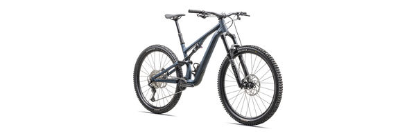 Specialized Stumpjumper 15 Alloy (Copy)