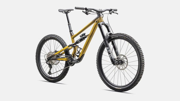 Specialized Status 2 170