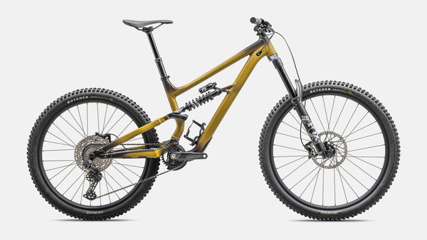 Specialized Status 2 170